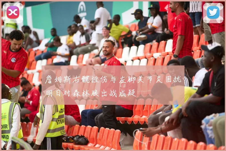 詹姆斯右髋挫伤与左脚关节炎困扰明日对森林狼出战成疑